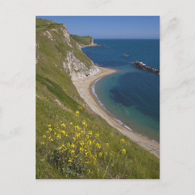 Man o War Bay, Jurassic Coast, Lulworth, Dorset, Vykort (Framsida)