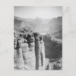 Man och Donkey på Grand Canyon-vykort Vykort
