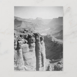 Man och Donkey på Grand Canyon-vykort Vykort