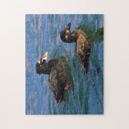 Män och hondjur Surfa Scoter Anka vid Pier Pussel