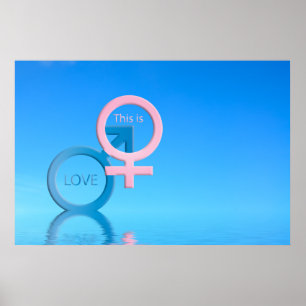 Män och honsymboler poster