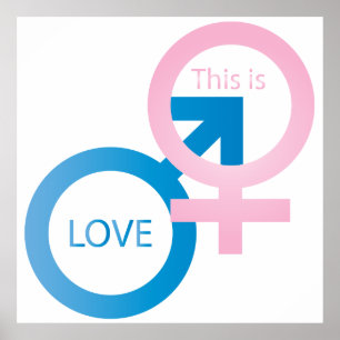 Män och honsymboler poster