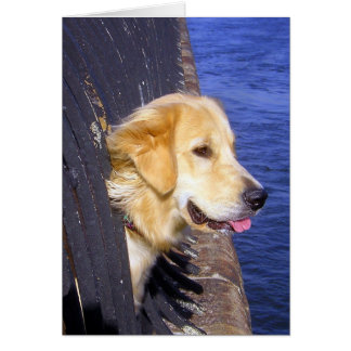 Män... ÖNSKAN JAG VET HUR JAG SKA SIMMA! Hälsningskort