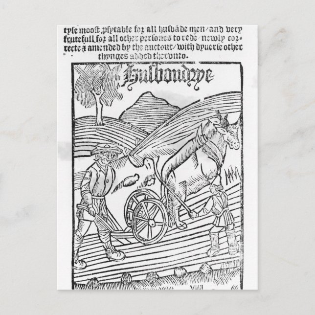 Man Plowing a Fält Vykort (Framsida)