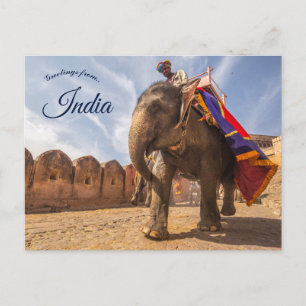 Man Riding Elephant vid Amber Palace Jaipur India Vykort
