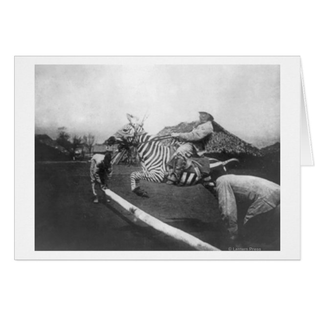 Man Riding Zebra Jumping Fence Photograph Hälsningskort (Framsidan Horizontal)