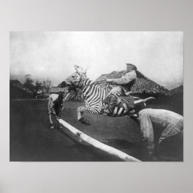 Man Riding Zebra Jumping Fence Photograph Poster (Framsidan)