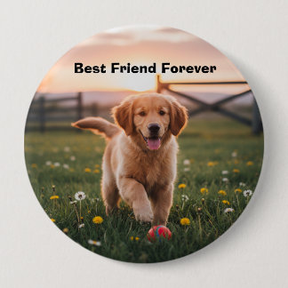 Man’s Best Friend Pin Knapp