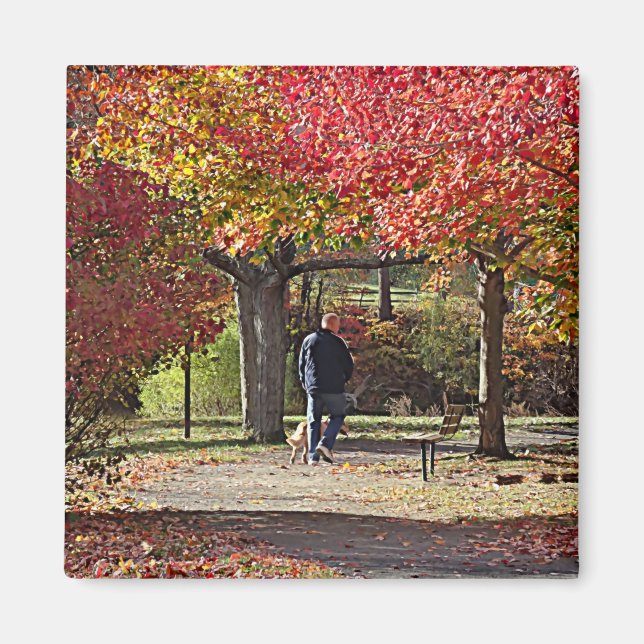 Man Walking Hund in Autumn Park Magnet (Framsidan)