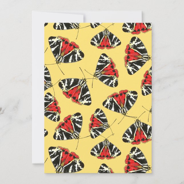 Månader 3 (Framsida)