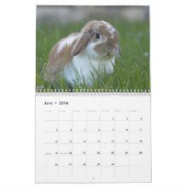 Månader för kaniner 2016 - 12 av gulliga kalender
