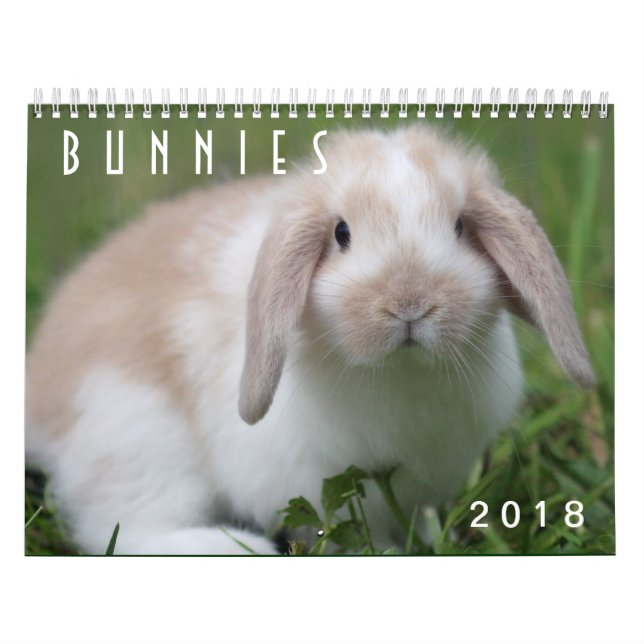 Månader för kaniner 2018 - 12 av gulliga kalender (Omslag)