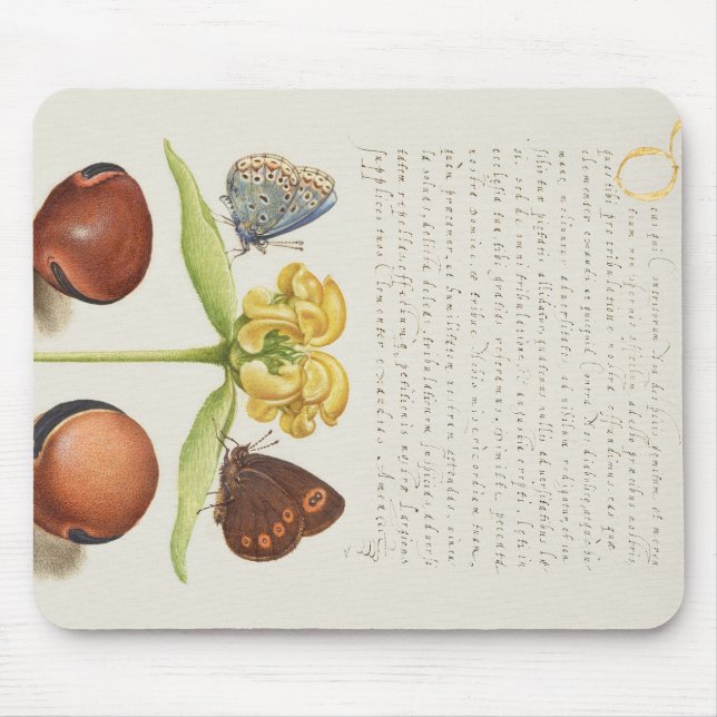 Månader, Jerusalem Sage och Beans Calligraphy Musmatta (Framsidan)