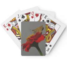 Månader och blommor