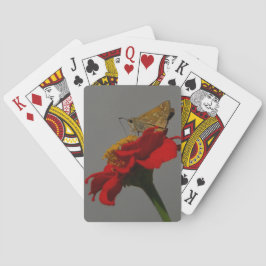 Månader och blommor kortlek