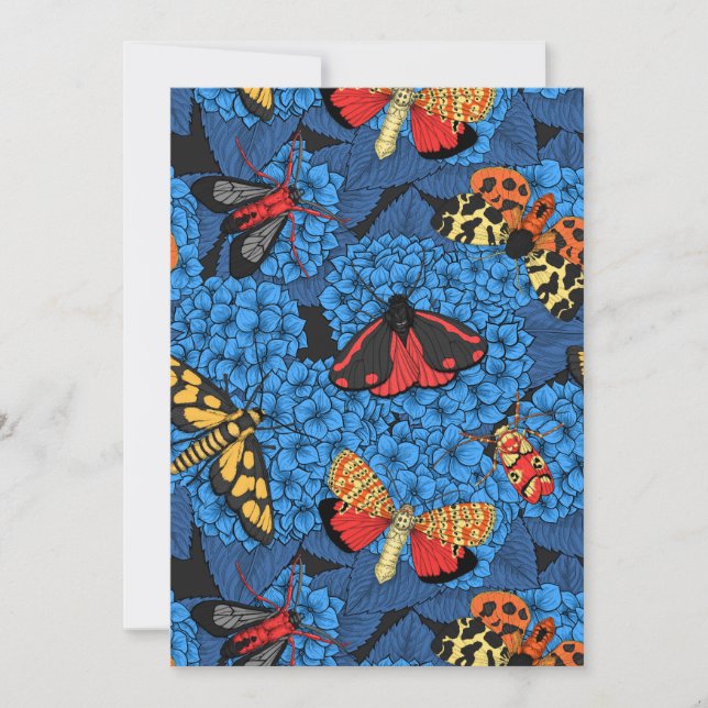 Månader på blå vattenskida (Framsida)