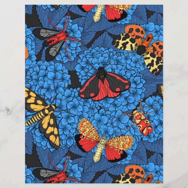 Månader på blå vattenskida (Framsida)