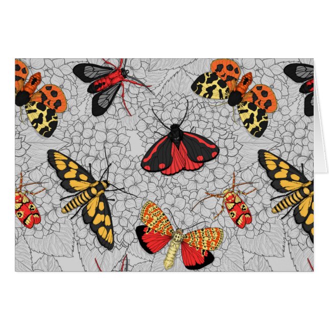 Månader på vattenstånd hälsningskort (Framsidan Horizontal)