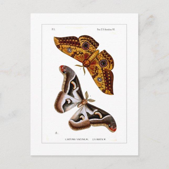 Månader Vykort (Framsida)