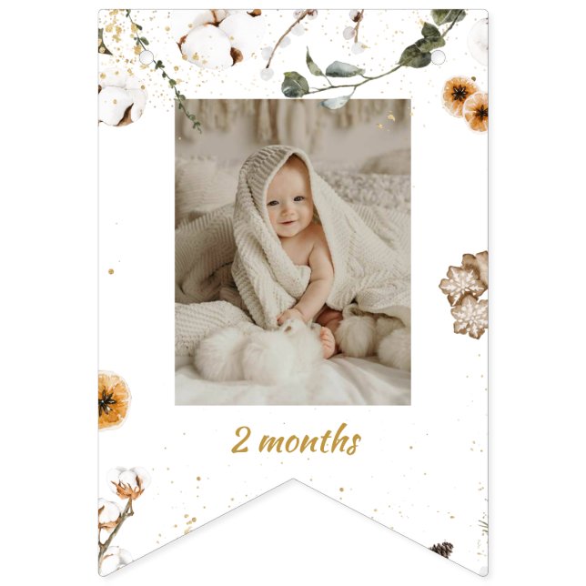 Månadsfoto för vintermåndag på land vimplar (Tredje flaggan)