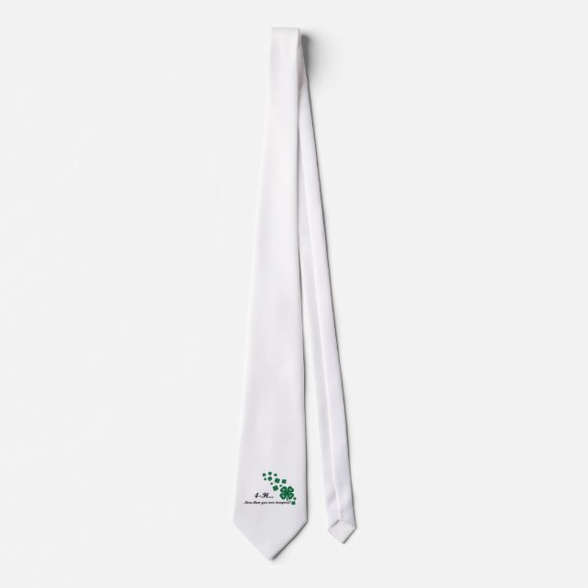 manar 4-H Tie Slips (Framsida)