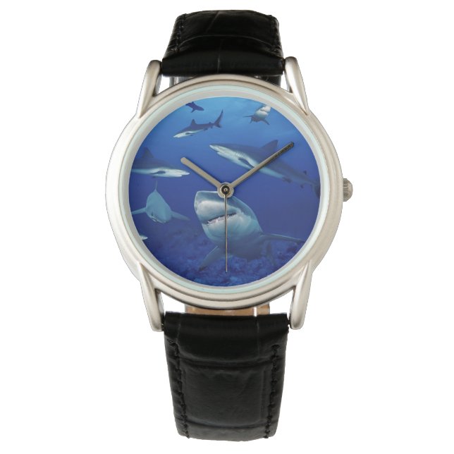 Manar Classic Watch/Sharks Armbandsur (Framsida)