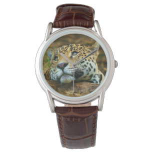Manar Classic Watch/Wildlife Leopard Armbandsur