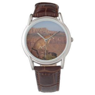 Manar Classic Watch/Wildlife Mountain Lejon Armbandsur