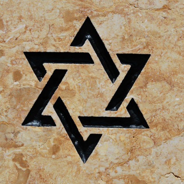 Manar Large T-shirt (    celebrate the bar mitzvah of (a boy).

)