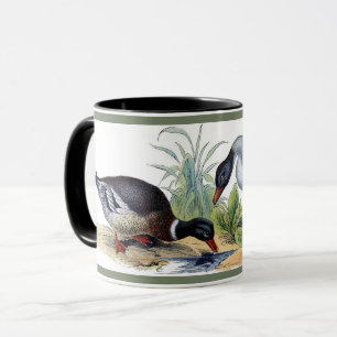 Manar Malard Anka Birds Hunting Nature Animals Mugg