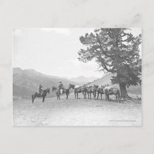 Manar med packhästar tittar över backe vykort