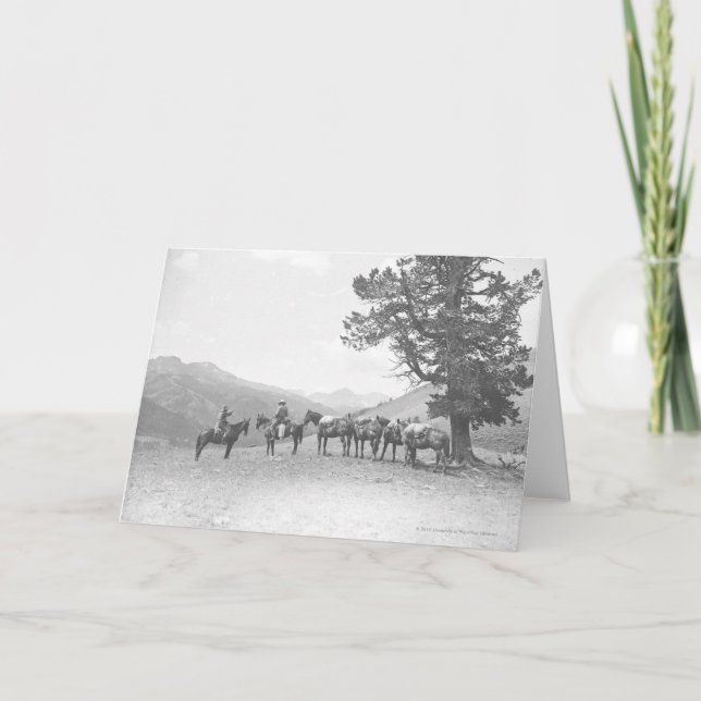 Manar med packhorses som tittar över en backe kort (Framsida)