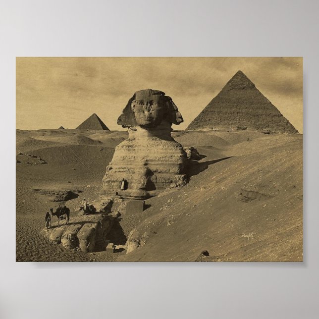 Manar och Camels Tass vid Sphinx, Pyramids Poster (Framsidan)