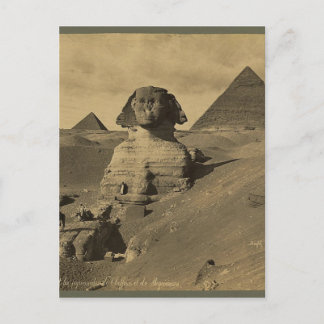 Manar och Camels Tass vid Sphinx, Pyramids Vykort