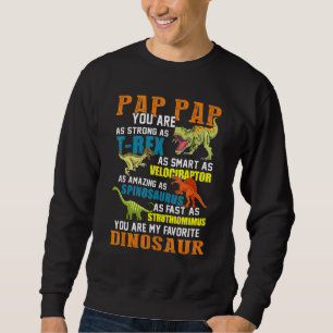 Manar Pap Papsaurus T Rex Dinosaur Pap Saurus F Lång Ärmad Tröja