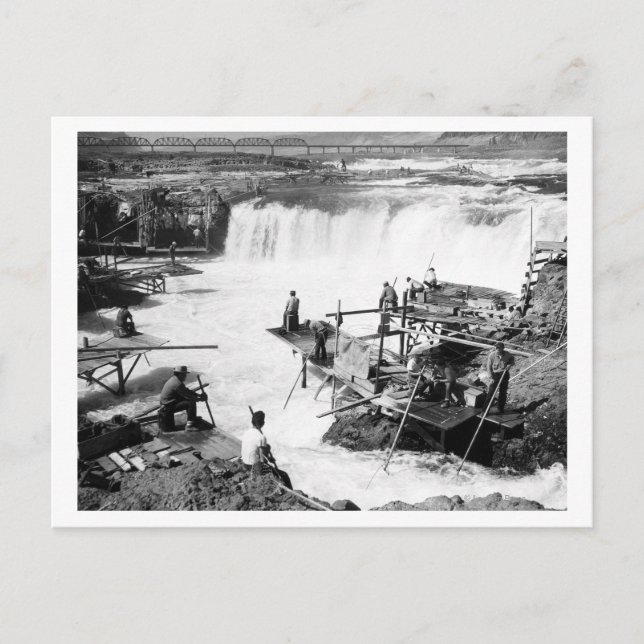 Manar som fiskar i Celilo Falls-fotot Vykort (Framsida)