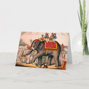 Manar som utför en cirkus-handling med en elefant. kort