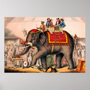 Manar som utför en cirkus-handling med en elefant. poster