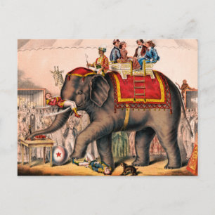 Manar som utför en cirkus-handling med en elefant. vykort