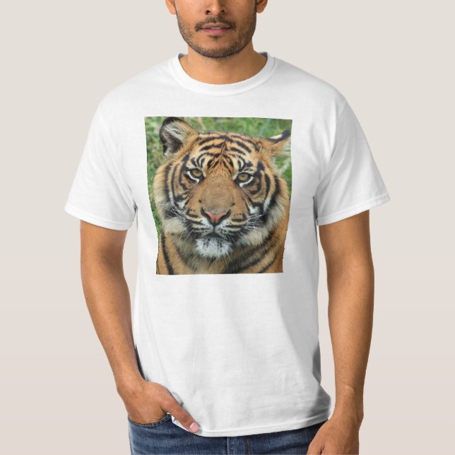 Manar Tiger T-shirts (Framsida)