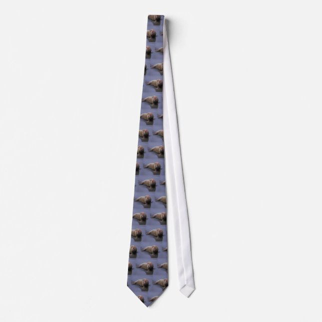 Manar Walrus Tie Slips (Framsida)