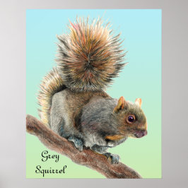 Manar Watercolor Wildlife Grått Squirrel Watch Poster
