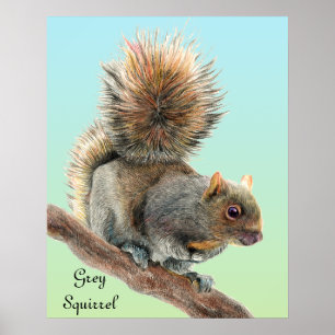 Manar Watercolor Wildlife Grått Squirrel Watch Poster