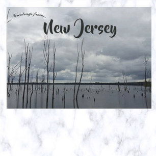 Manasquan Reservoir Monmouth County New jersey Vykort