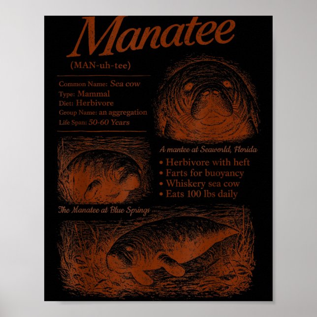 Manat definition 90-talet respektera lokalbefolkni poster (Framsidan)
