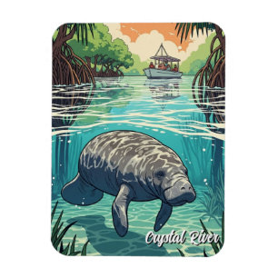 Manat i Crystal River Florida Magnet
