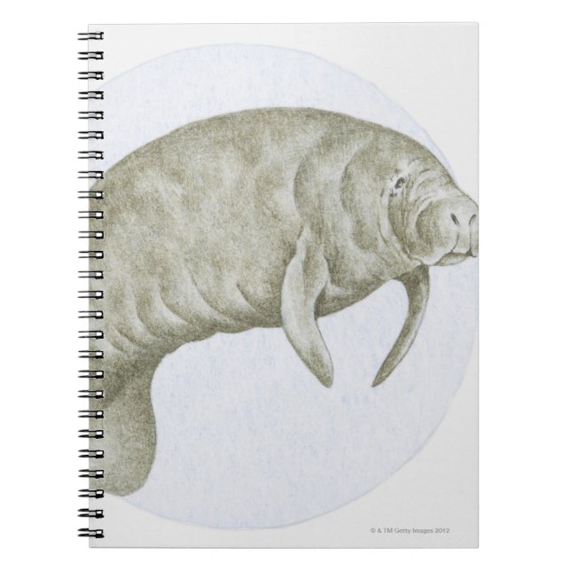 Manatee Anteckningsbok Med Spiral (Framsidan)