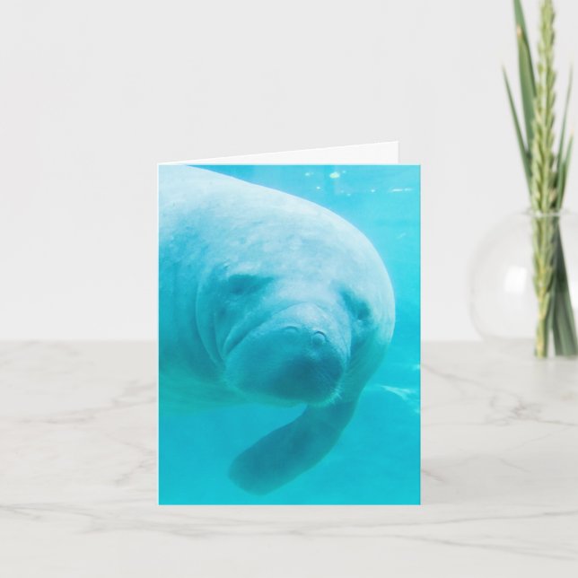 Manatee Digital Art "oh hi" Kort (Framsida)