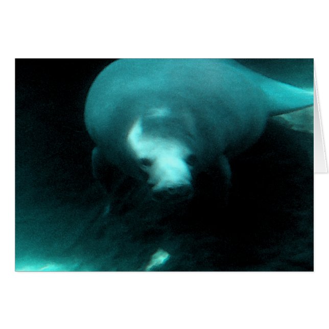 Manatee Dreams Hälsningskort (Framsidan Horizontal)