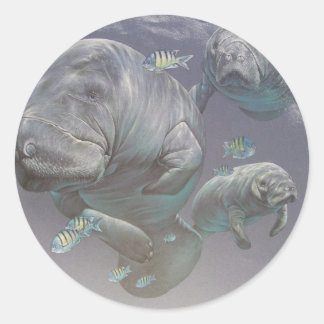 Manatee Family Runt Klistermärke